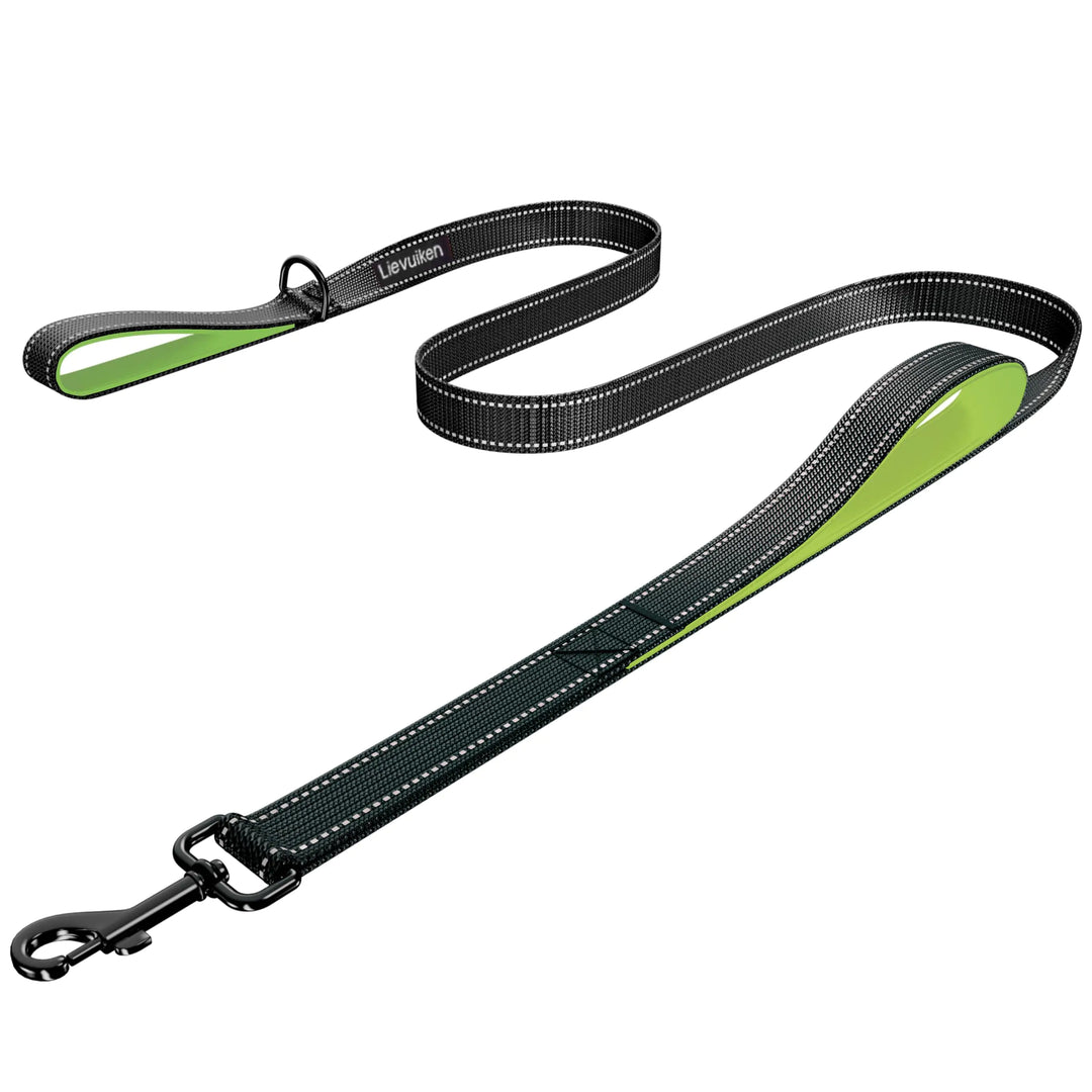 Let's talk about leashes-5 top options for dogs