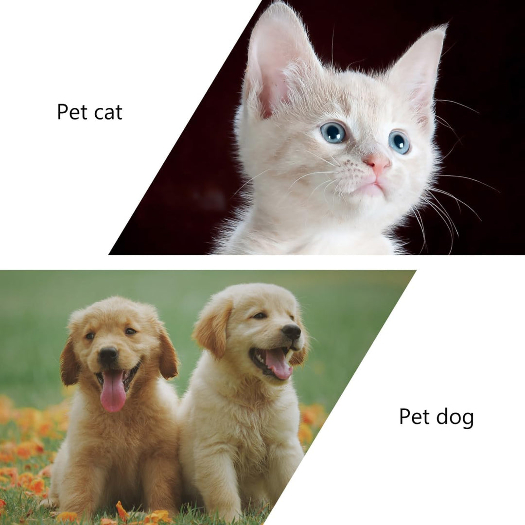 Interactive Pet Treats Dispenser Toy: 360 Degree Rotating Windmil Puzzle Toys for Small Cat & Dog - Blue Exercise Wheel Cat Feeder with Suction Cup