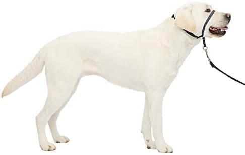 Gentle Leader No-Pull Dog Headcollar - the Ultimate Solution to Pulling - Redirects Your Dog'S Pulling for Easier Walks - Helps You Regain Control - Medium, Charcoal