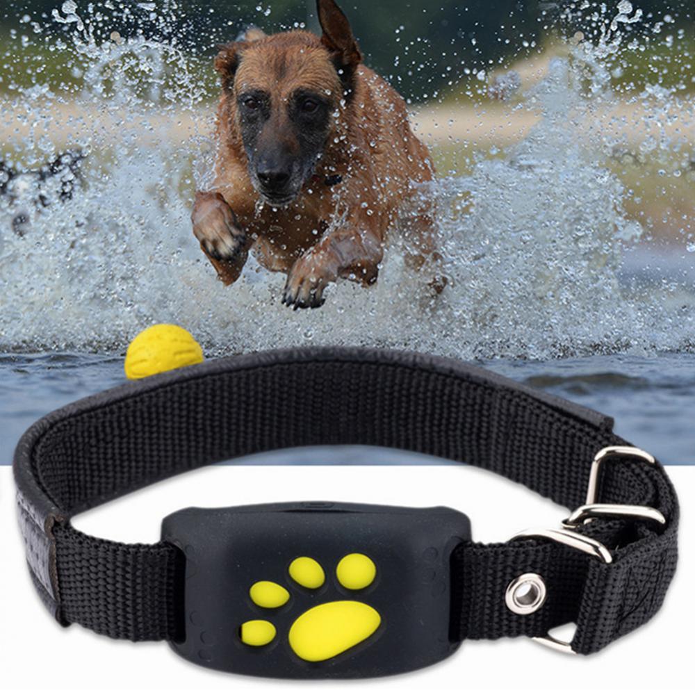 Universal Pet GPS Tracker Collar for real-time pet tracking and safety.