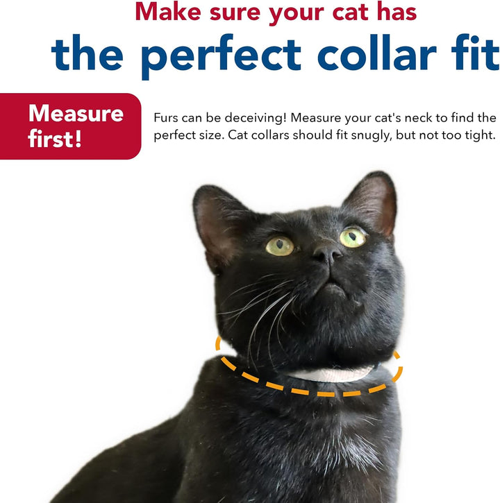 - Safe Cat Glow in the Dark Adjustable Breakaway Collar - Glowing Blue Fish Print - 3/8” X 8"-12”