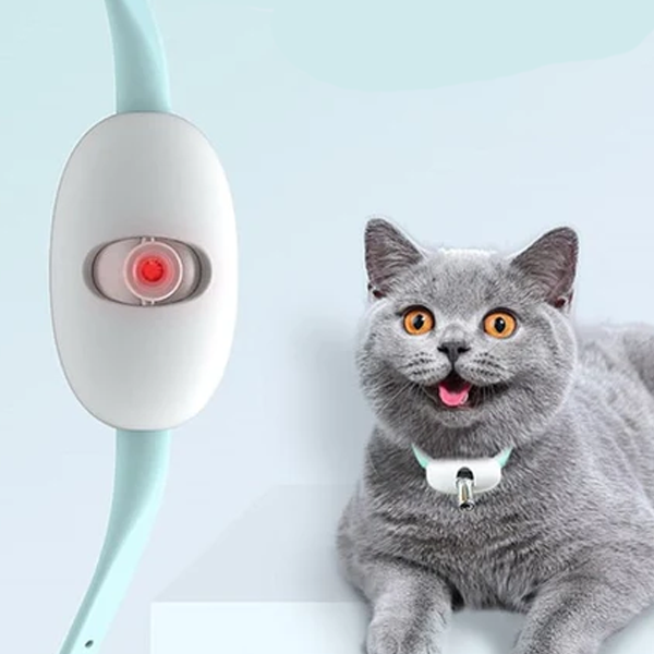 Smart Laser Tease Cat Collar on a happy cat.