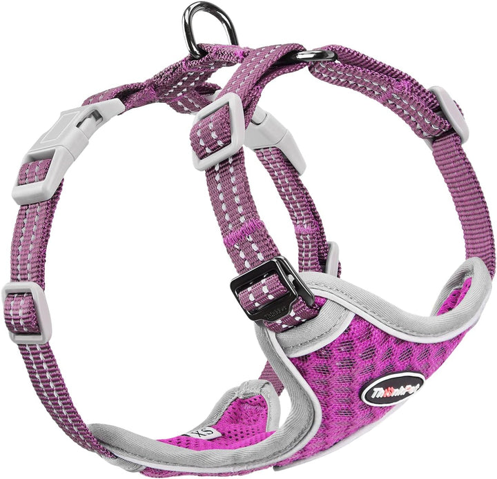 Reflective Breathable Soft Air Mesh No Pull Puppy Choke Free over Head Vest Ventilation Harness for Puppy Small Medium Dogs and Cats (Red,Xs)