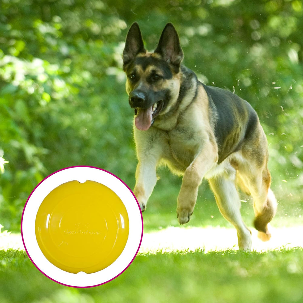 Field Disc Pet Chew Toy, Assorted, 4.75 Inch, Red or Yellow