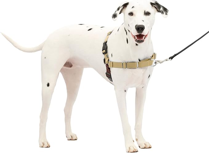 Easy Walk No-Pull Dog Harness - the Ultimate Harness to Help Stop Pulling - Take Control & Teach Better Leash Manners - Helps Prevent Pets Pulling on Walks, Medium, Black/Silver