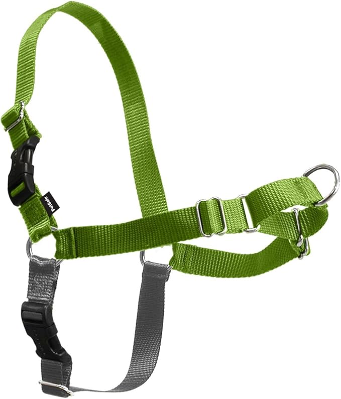 Easy Walk No-Pull Dog Harness - the Ultimate Harness to Help Stop Pulling - Take Control & Teach Better Leash Manners - Helps Prevent Pets Pulling on Walks, Medium, Black/Silver