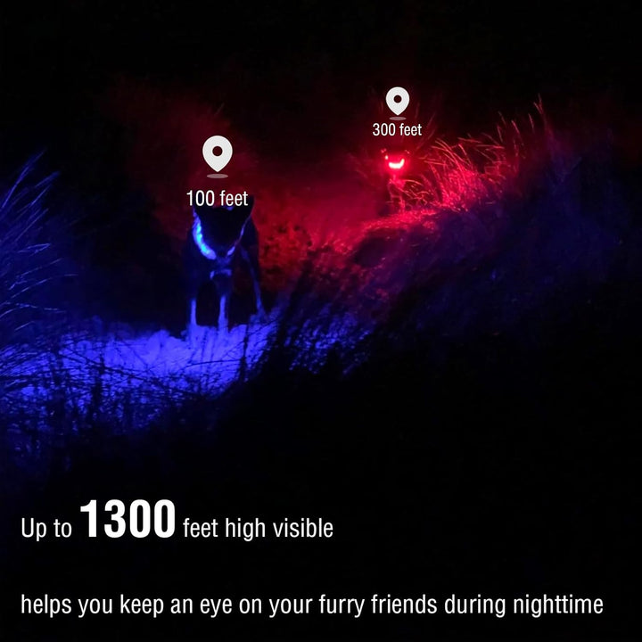 Light up Dog Collar Multicolor LED USB C Rechargeable, Glow in the Dark Collar for Night Walking, Cuttable for Large Medium Small Dogs Pet (Multicolor Dog Collar)