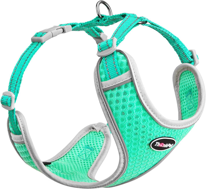 Reflective Breathable Soft Air Mesh No Pull Puppy Choke Free over Head Vest Ventilation Harness for Puppy Small Medium Dogs and Cats (Red,Xs)