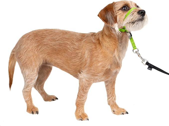 Gentle Leader No-Pull Dog Headcollar - the Ultimate Solution to Pulling - Redirects Your Dog'S Pulling for Easier Walks - Helps You Regain Control - Medium, Charcoal