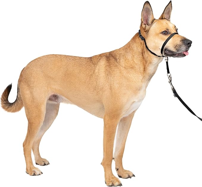 Gentle Leader No-Pull Dog Headcollar - the Ultimate Solution to Pulling - Redirects Your Dog'S Pulling for Easier Walks - Helps You Regain Control - Medium, Charcoal