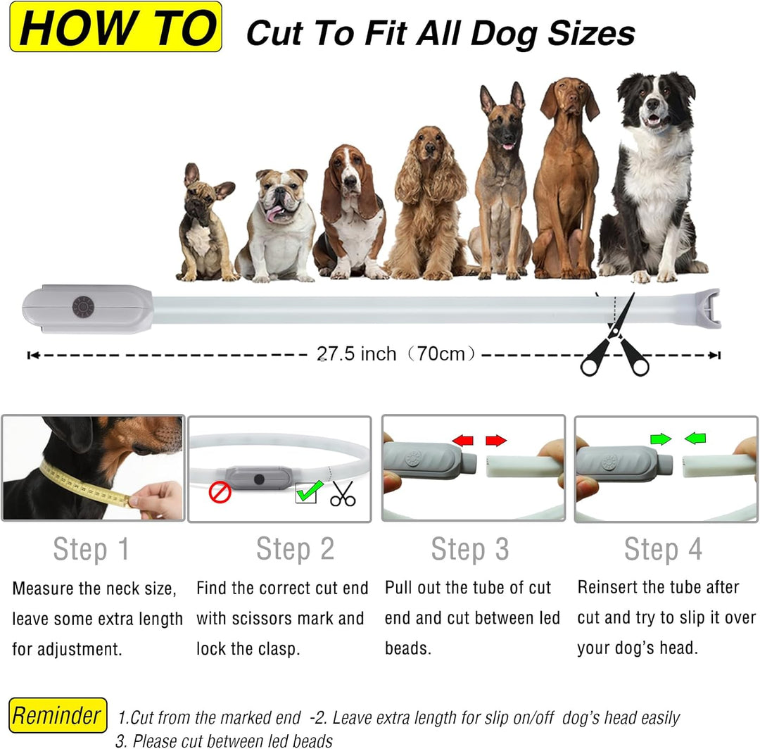 Light up Dog Collar Multicolor LED USB C Rechargeable, Glow in the Dark Collar for Night Walking, Cuttable for Large Medium Small Dogs Pet (Multicolor Dog Collar)