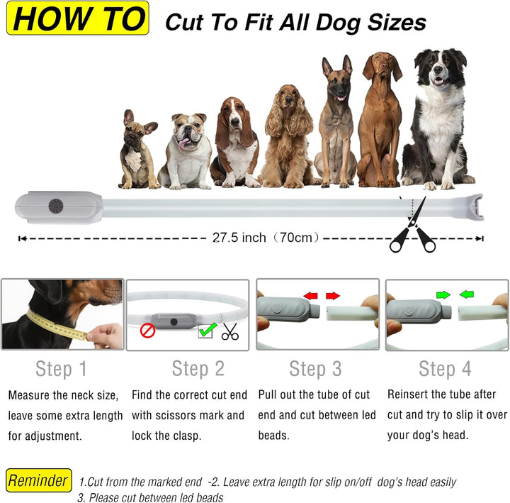 Light up Dog Collar Multicolor LED USB C Rechargeable, Glow in the Dark Collar for Night Walking, Cuttable for Large Medium Small Dogs Pet (Multicolor Dog Collar)