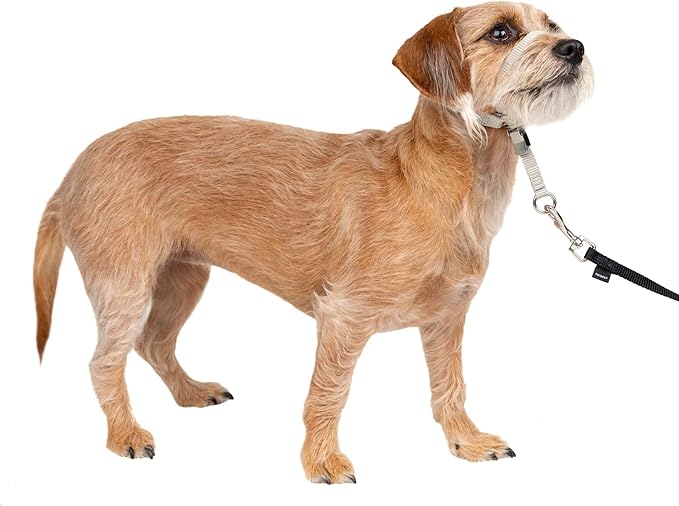 Gentle Leader No-Pull Dog Headcollar - the Ultimate Solution to Pulling - Redirects Your Dog'S Pulling for Easier Walks - Helps You Regain Control - Medium, Charcoal