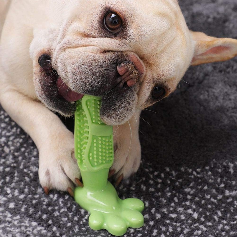 Dog chewing green natural rubber toothbrush toy on carpet.