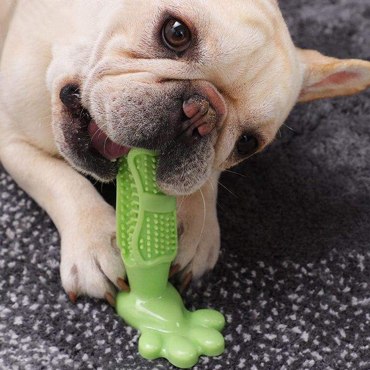 Dog chewing green natural rubber toothbrush toy on carpet.