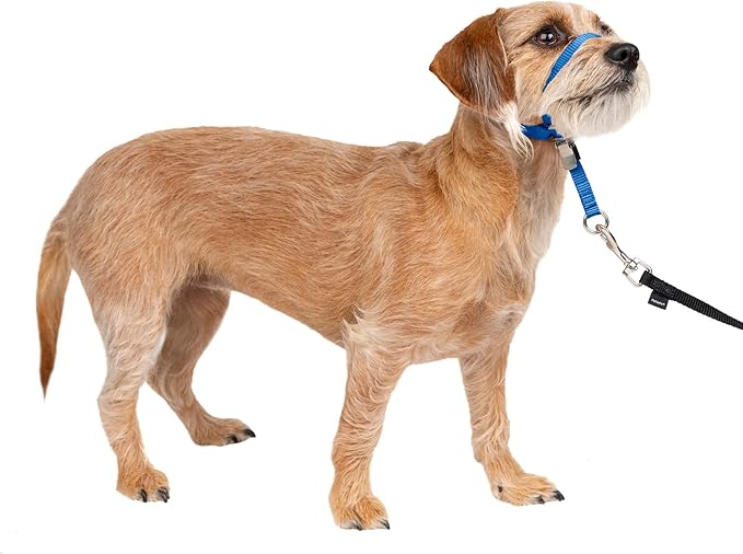 Gentle Leader No-Pull Dog Headcollar - the Ultimate Solution to Pulling - Redirects Your Dog'S Pulling for Easier Walks - Helps You Regain Control - Medium, Charcoal