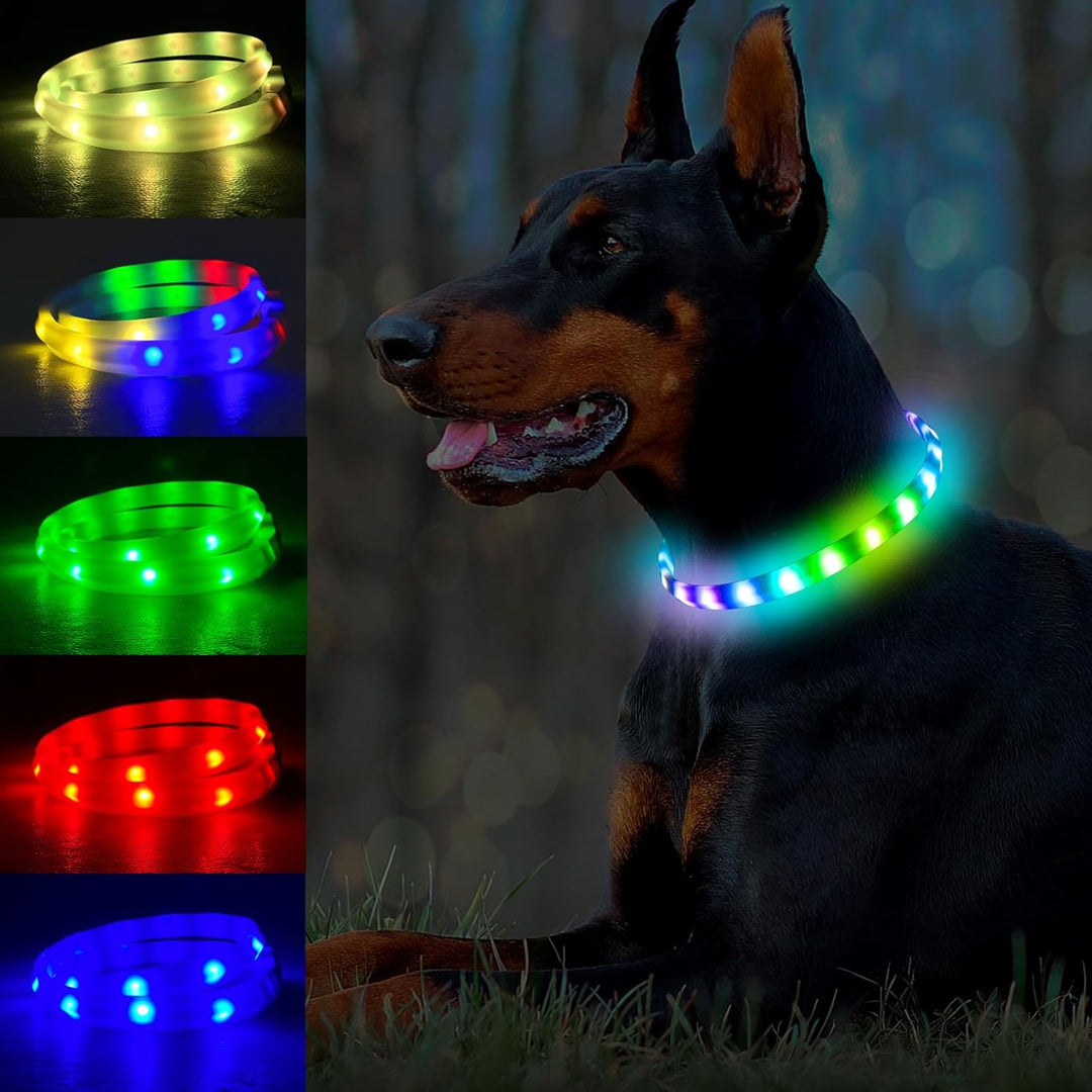 Light up Dog Collar Multicolor LED USB C Rechargeable, Glow in the Dark Collar for Night Walking, Cuttable for Large Medium Small Dogs Pet (Multicolor Dog Collar)