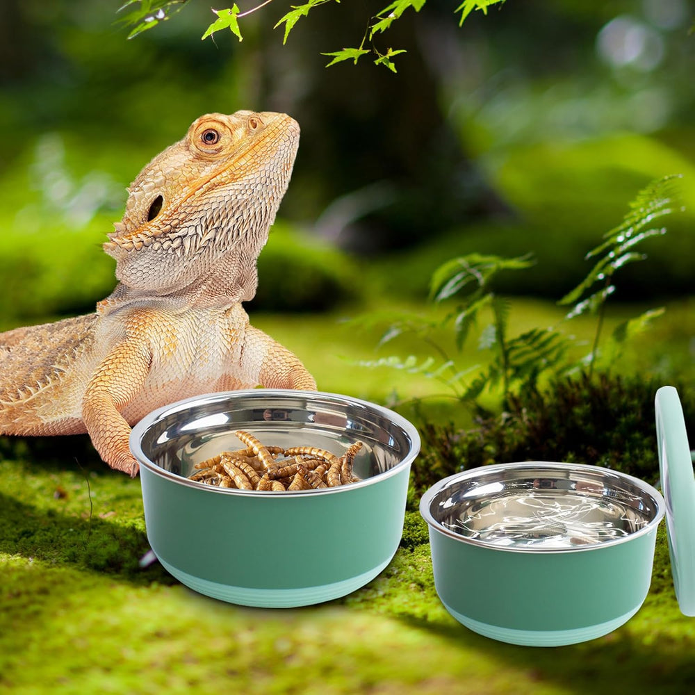 2 Pack Reptile Cricket Calcium Mixer, Cricket Nutrients Calcium Shaker, Stainless Steel Insect Feeder for Gecko, Chameleon, Lizard, Snake