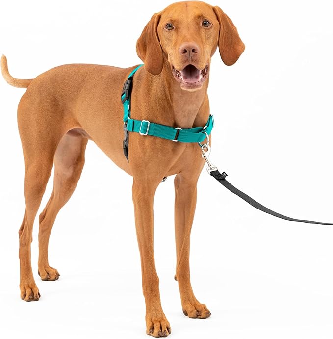 Easy Walk No-Pull Dog Harness - the Ultimate Harness to Help Stop Pulling - Take Control & Teach Better Leash Manners - Helps Prevent Pets Pulling on Walks, Medium, Black/Silver