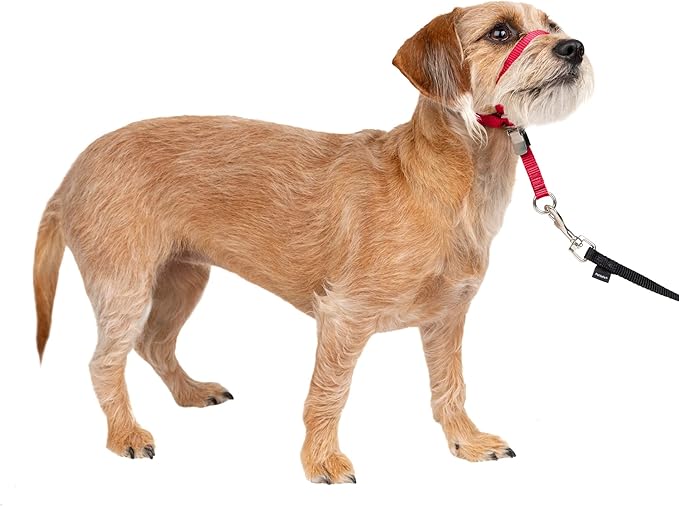 Gentle Leader No-Pull Dog Headcollar - the Ultimate Solution to Pulling - Redirects Your Dog'S Pulling for Easier Walks - Helps You Regain Control - Medium, Charcoal