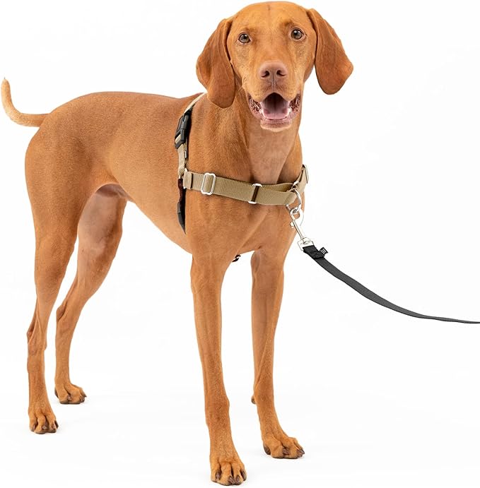 Easy Walk No-Pull Dog Harness - the Ultimate Harness to Help Stop Pulling - Take Control & Teach Better Leash Manners - Helps Prevent Pets Pulling on Walks, Medium, Black/Silver