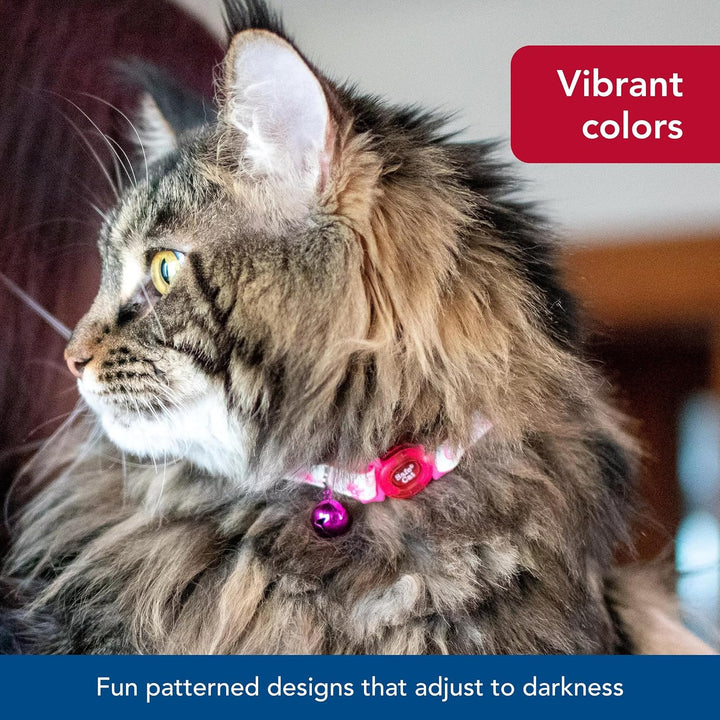 - Safe Cat Glow in the Dark Adjustable Breakaway Collar - Glowing Blue Fish Print - 3/8” X 8"-12”