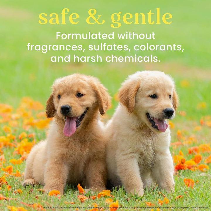 Tearless Puppy 2-In-1 Shampoo and Conditioner with Buttermilk and Linseed Oil, 2Pk, 95% Natural Origin Formulas, Best Gentle Shampoo for Puppies - Tear Free, 16 Oz - 6 Pack