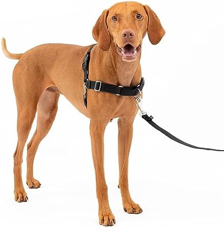 Easy Walk No-Pull Dog Harness - the Ultimate Harness to Help Stop Pulling - Take Control & Teach Better Leash Manners - Helps Prevent Pets Pulling on Walks, Medium, Black/Silver