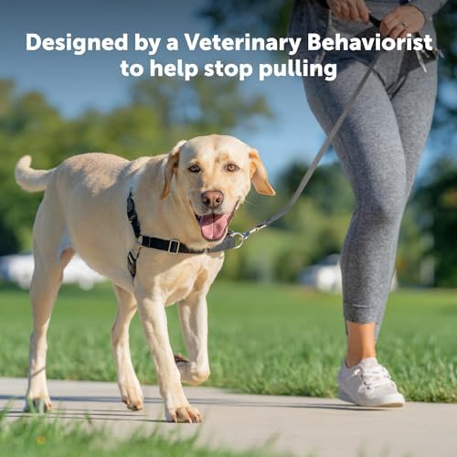 Easy Walk No-Pull Dog Harness - the Ultimate Harness to Help Stop Pulling - Take Control & Teach Better Leash Manners - Helps Prevent Pets Pulling on Walks, Medium, Black/Silver