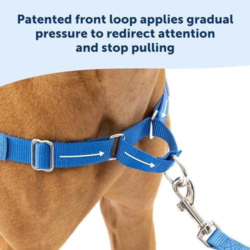 Easy Walk No-Pull Dog Harness - the Ultimate Harness to Help Stop Pulling - Take Control & Teach Better Leash Manners - Helps Prevent Pets Pulling on Walks, Medium, Black/Silver