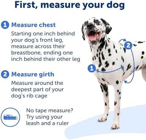 Easy Walk No-Pull Dog Harness - the Ultimate Harness to Help Stop Pulling - Take Control & Teach Better Leash Manners - Helps Prevent Pets Pulling on Walks, Medium, Black/Silver