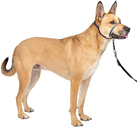 Gentle Leader No-Pull Dog Headcollar - the Ultimate Solution to Pulling - Redirects Your Dog'S Pulling for Easier Walks - Helps You Regain Control - Medium, Charcoal