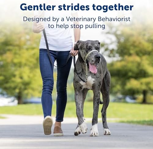 Gentle Leader No-Pull Dog Headcollar - the Ultimate Solution to Pulling - Redirects Your Dog'S Pulling for Easier Walks - Helps You Regain Control - Medium, Charcoal