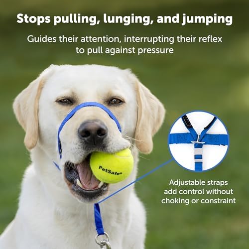 Gentle Leader No-Pull Dog Headcollar - the Ultimate Solution to Pulling - Redirects Your Dog'S Pulling for Easier Walks - Helps You Regain Control - Medium, Charcoal