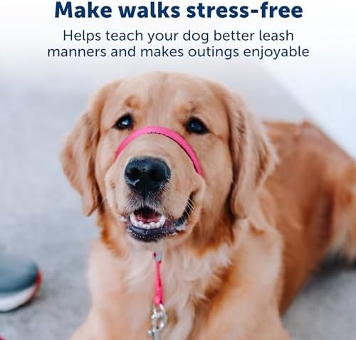 Gentle Leader No-Pull Dog Headcollar - the Ultimate Solution to Pulling - Redirects Your Dog'S Pulling for Easier Walks - Helps You Regain Control - Medium, Charcoal