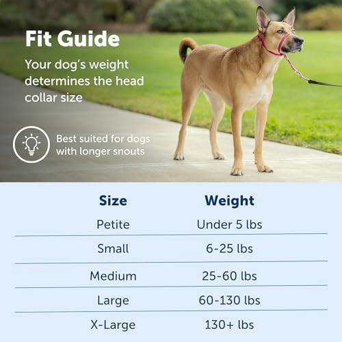 Gentle Leader No-Pull Dog Headcollar - the Ultimate Solution to Pulling - Redirects Your Dog'S Pulling for Easier Walks - Helps You Regain Control - Medium, Charcoal