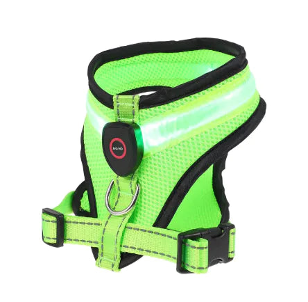 GlowPaws LED Dog Harness with bright lighting and breathable mesh for nighttime visibility.