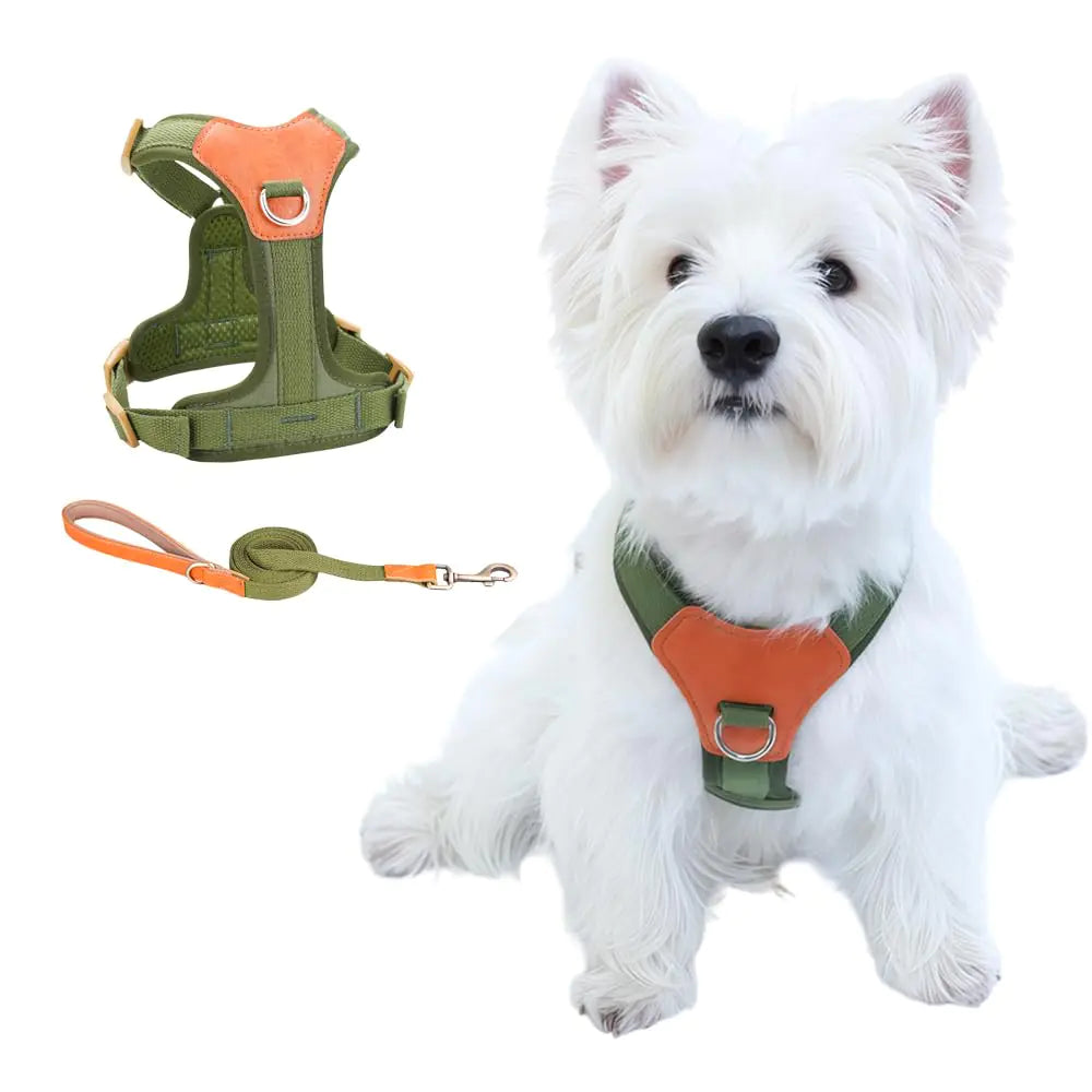 Green XS CHUNFENGX no pull dog harness and leash set for small to medium dogs, featuring breathable mesh and Y-shaped design for comfort and control.