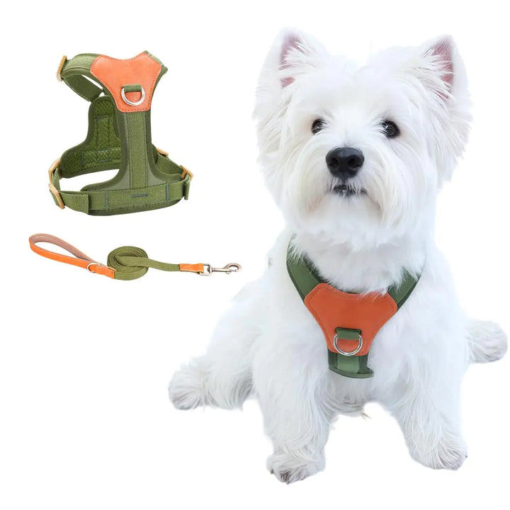 Green XS CHUNFENGX no pull dog harness and leash set for small to medium dogs, featuring breathable mesh and Y-shaped design for comfort and control.