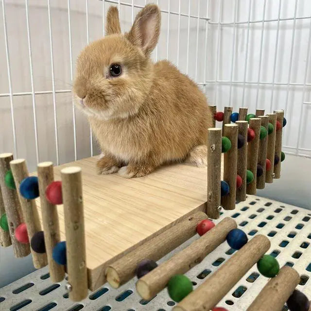 Pet rabbit nest with solid wood fence and colorful branch platform for climbing.