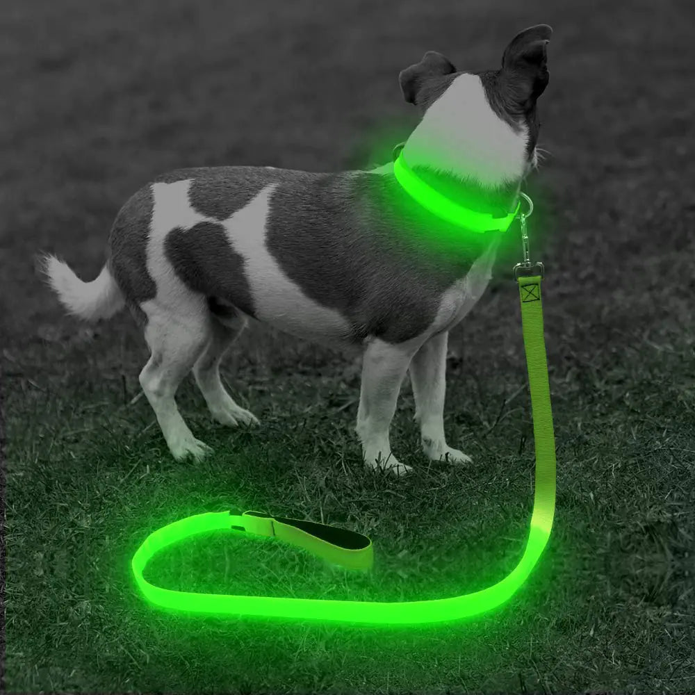 BSEEN LED Lighted Dog Leash - USB Rechargeable Nylon Puppy Lead Safety Dog Lights for Night Walking (47 Inch Neon Green)
