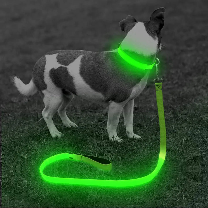 BSEEN LED Lighted Dog Leash - USB Rechargeable Nylon Puppy Lead Safety Dog Lights for Night Walking (47 Inch Neon Green)