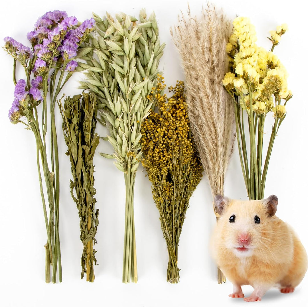 42Pcs Herb Bedding Habitat Decor - Natural Flower Hamster Mate Herbs Sprays Cage Safe Pet Accessories Decorations Hideout for Hamsters Mouse Guinea Pig Dwarf Gerbils Syrian Mice