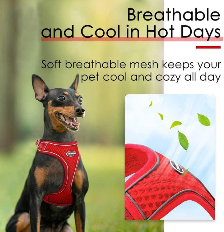 Reflective Breathable Soft Air Mesh No Pull Puppy Choke Free over Head Vest Ventilation Harness for Puppy Small Medium Dogs and Cats (Red,Xs)