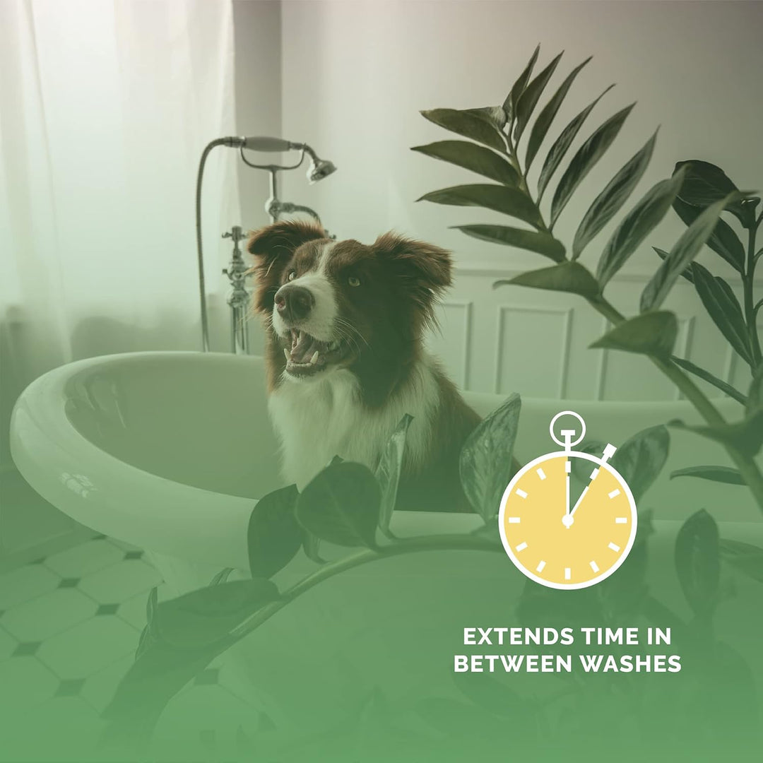 Salon Scents Pet Grooming Cologne - 8 Oz, Natural Professional Grade Perfume for Dogs and Cats, Spray, Long Lasting, Deodorizing, (Coconut and Pineapple)