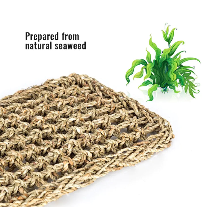 Reptile Hammock for Lizard, Gecko, and Small Pets