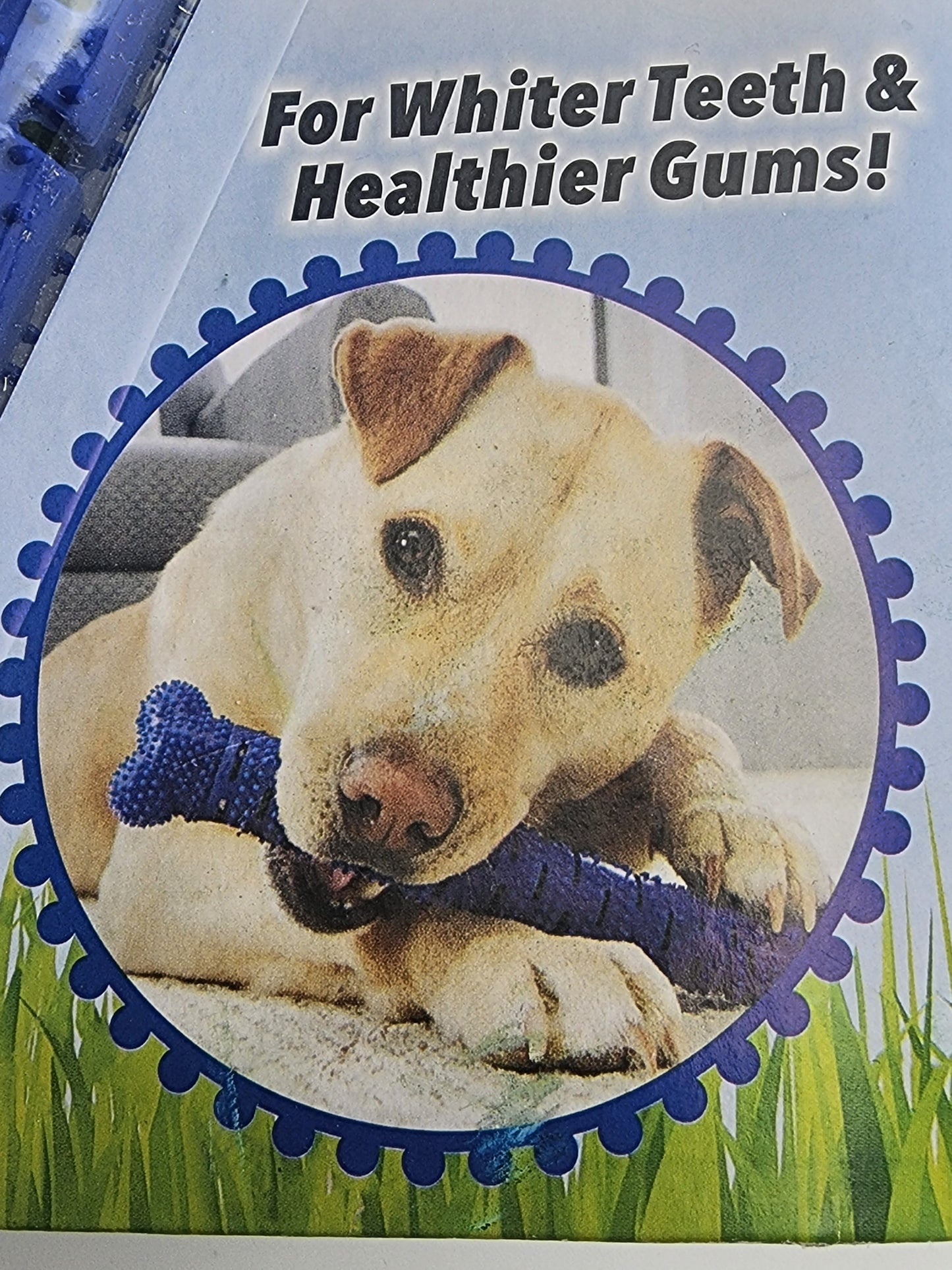 Dog Rubber Bone Toy Toothbrush